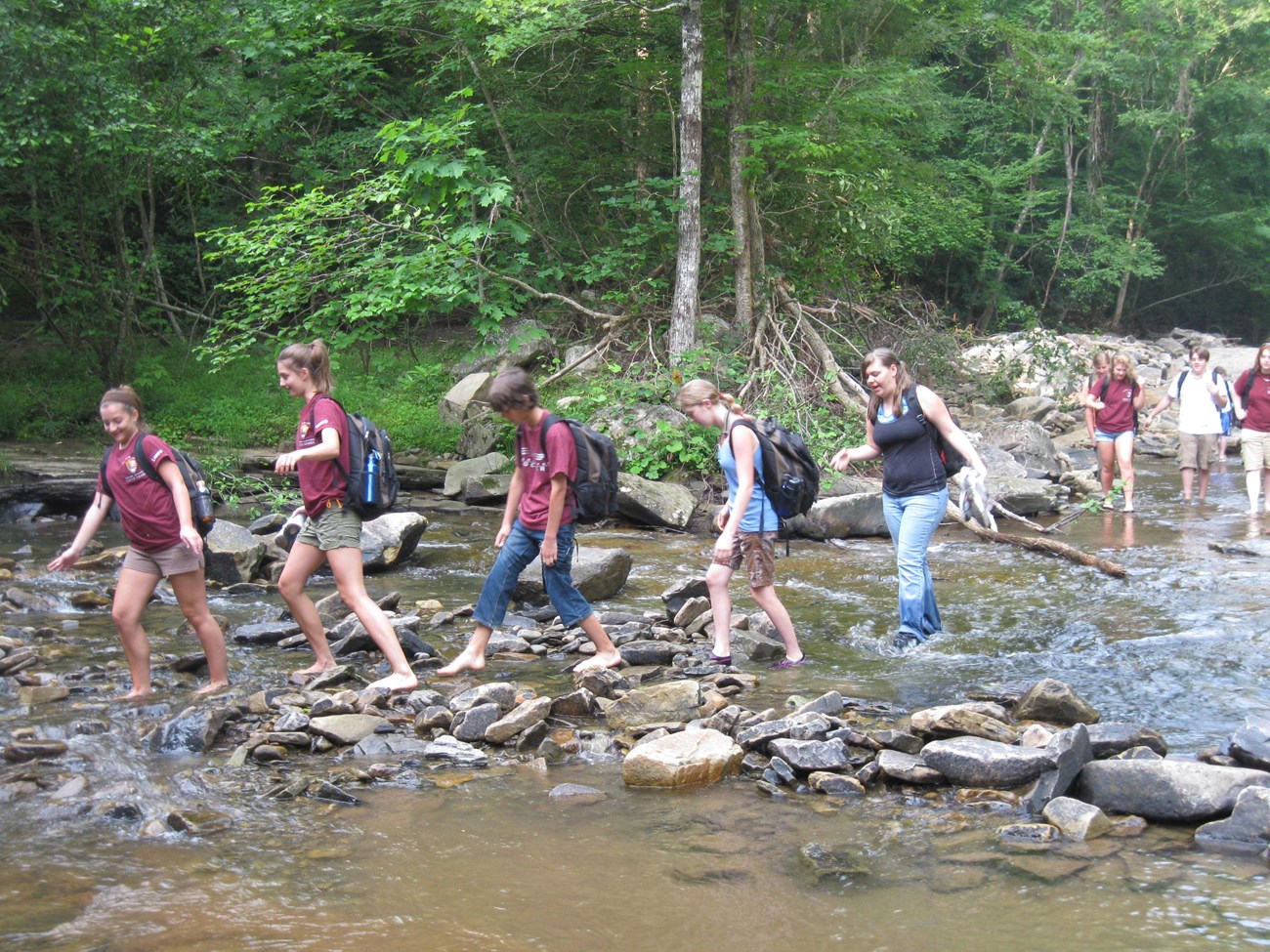 Rangers in Training wading in the creek