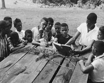campers learning about nature