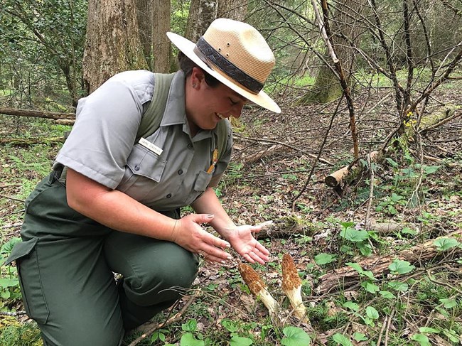 Color photo of a ranger kneeling in the woods and gesturing with both hands towards two mushroom growing out of the forest floor