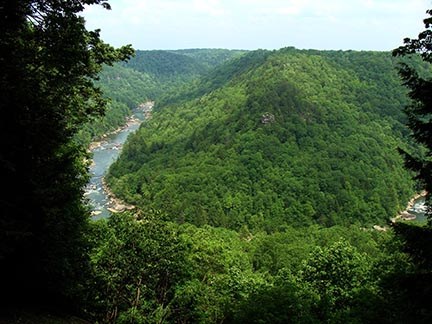 A horseshoe river bend in a deep forested gorge