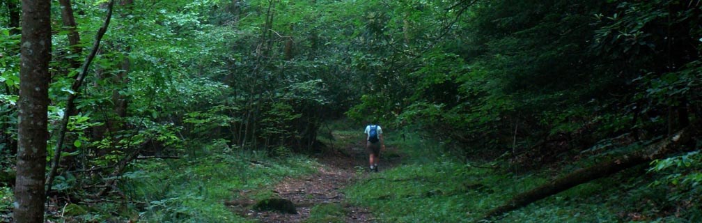 Hiker on Glade Creek Trail Hiker on Glade Creek Trail