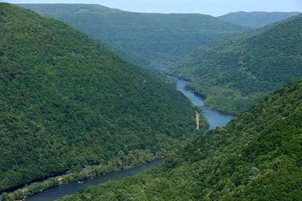 View of the bright green covered gorge and the New River