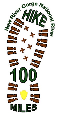 100 Mile Challenge Logo