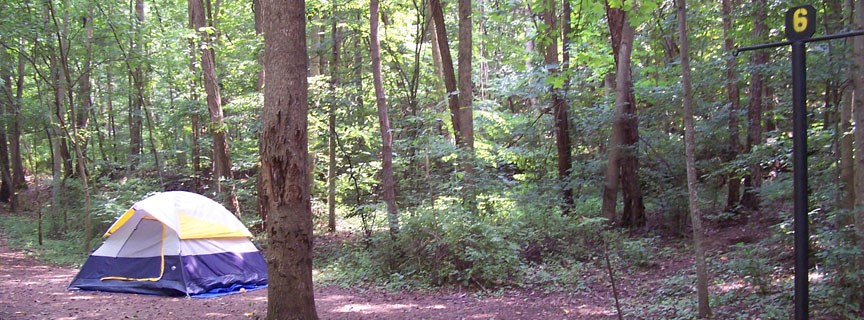 tent in a wooded campsite tent in a wooded campsite