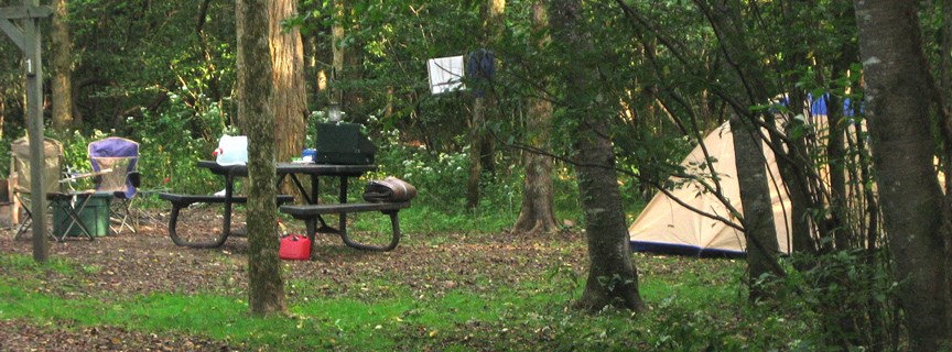 tent and campsite tent and campsite