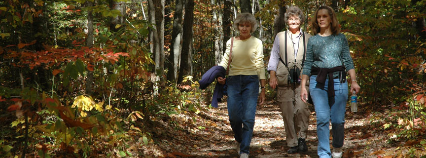 hikers on the trail hikers on the trail
