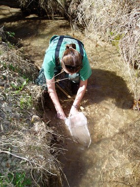 Technician collects samples