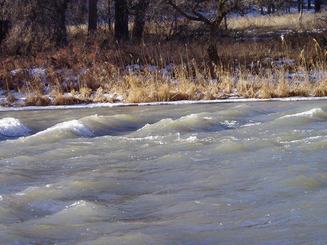 Surge Flow A river with cresting, standing waves in front of a snow-lined bank.
