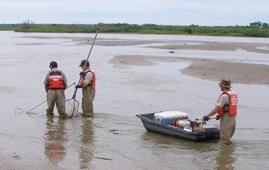 Three NPS staff with nets and river monitoring equipment in a river