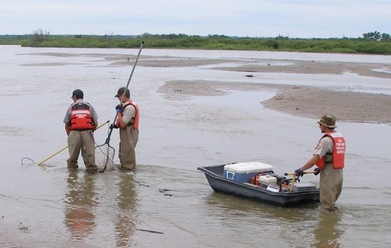 Three NPS staff with nets and river monitoring equipment in a river