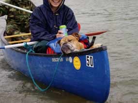 Dog in Canoe Dog in Canoe