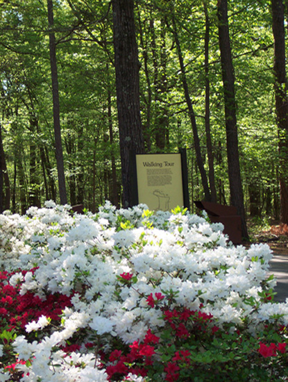 Historic walking trail in Spring
