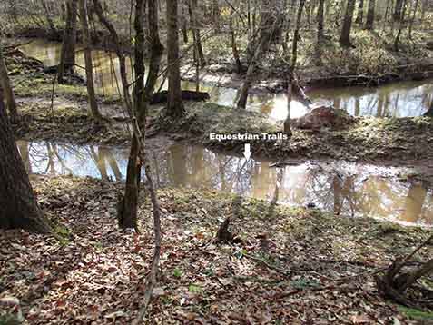 Equestrian Trails under water