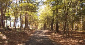 Historic Island Ford Road Historic Island Ford Road