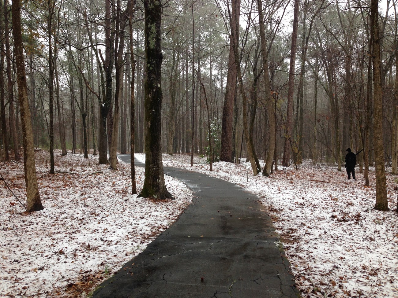 Snow dust the ground around the trail as it weaves through the woods .