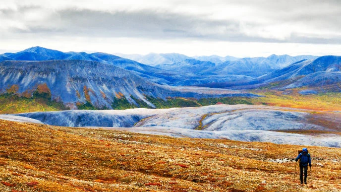 Hiker enjoys the mountains in Noatak National Preserve. single person hiking on tundra with mountains behind
