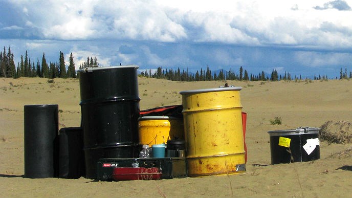 four bear-resistant food containers sit on the sand