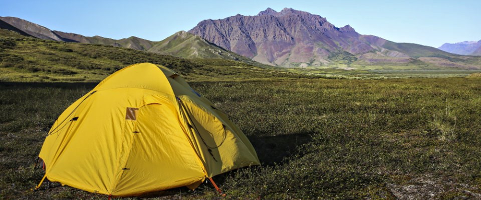yellow tent on green tundra in front on mountains