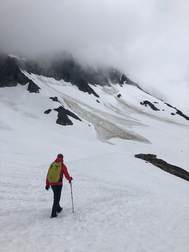 A park ranger walks on snow in upper Boston Basin