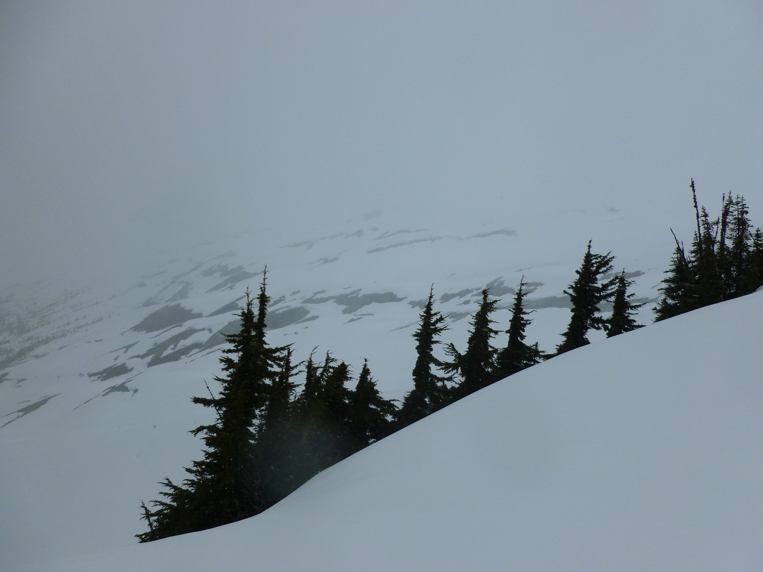 The Roush drainage and lower Eldorado Glacier