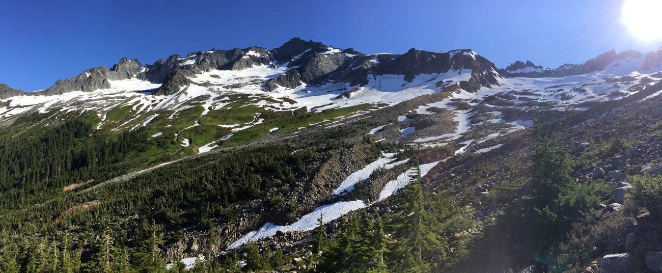 Ragged mountains above snowfield and subalpine trees