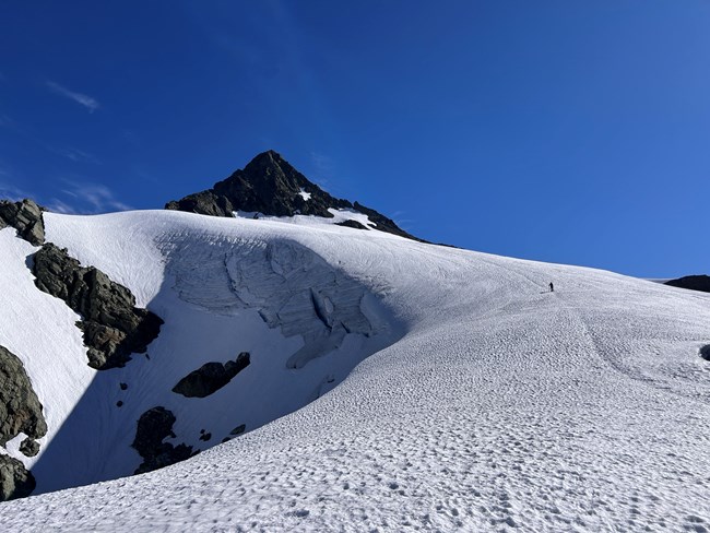 Mt. Shuksan late July
