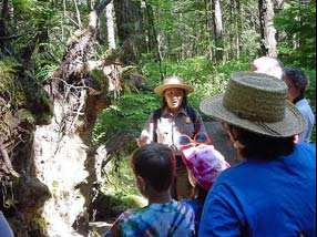 Park Ranger explores nature and trees along the River Loop trail with families. Park Ranger explores nature and trees along the River Loop trail with families.