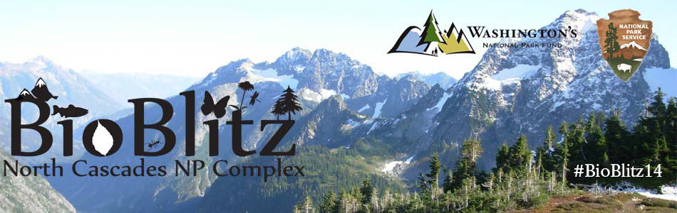 BioBlitz Cover 2014 BioBlitz Cover 2014