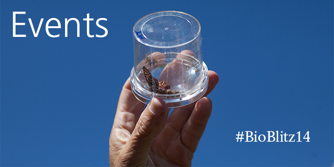 Events Banner 2014. Photo: NPS/Karlie Roland