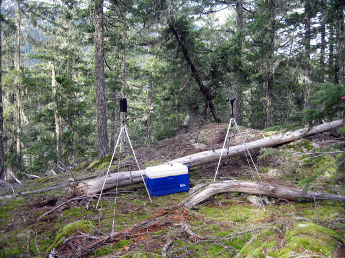 Winter monitoring site at Ross Dam. Image Credit: NPS/NOCA