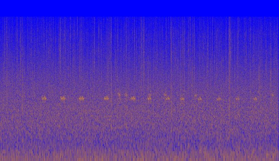 Spectrogram of a barred owl hooting. Image Credit: NPS/NOCA