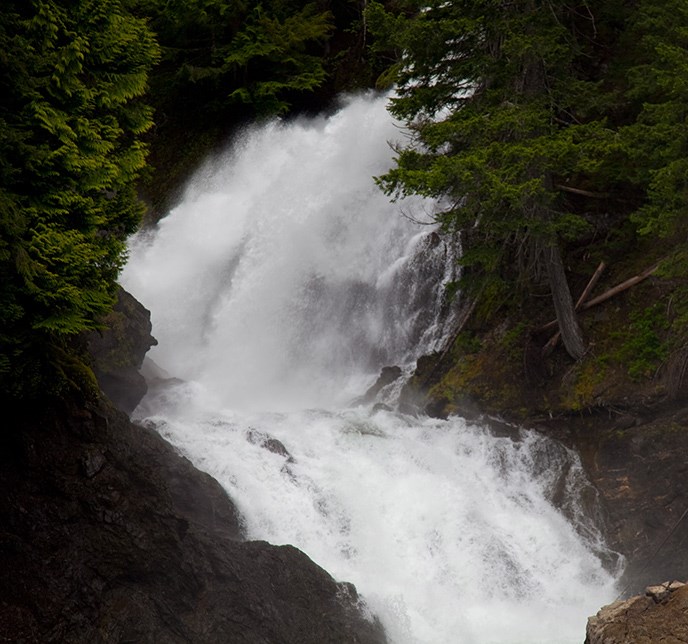 Waterfall from Ross Lake, heavy with Spring meltwater. Image Source: NPS/NOCA/David Astudillo