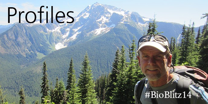 BioBlitz Profiles Banner 2014