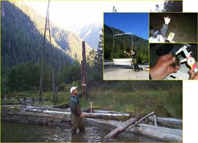 Bat study cover photo
