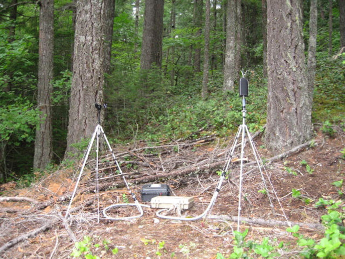 Newhalem-area acoustic monitoring. Image Credit: NPS/NOCA