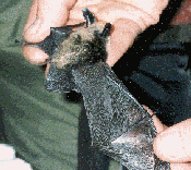 Nature and Science Nature and Science