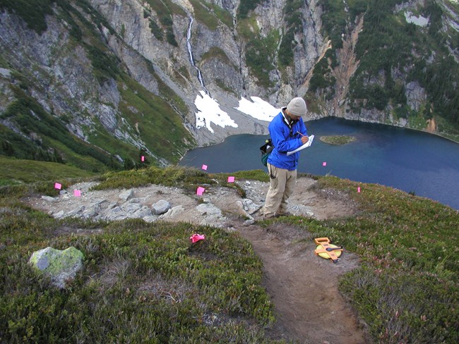 Mapping transects at doubtful lake