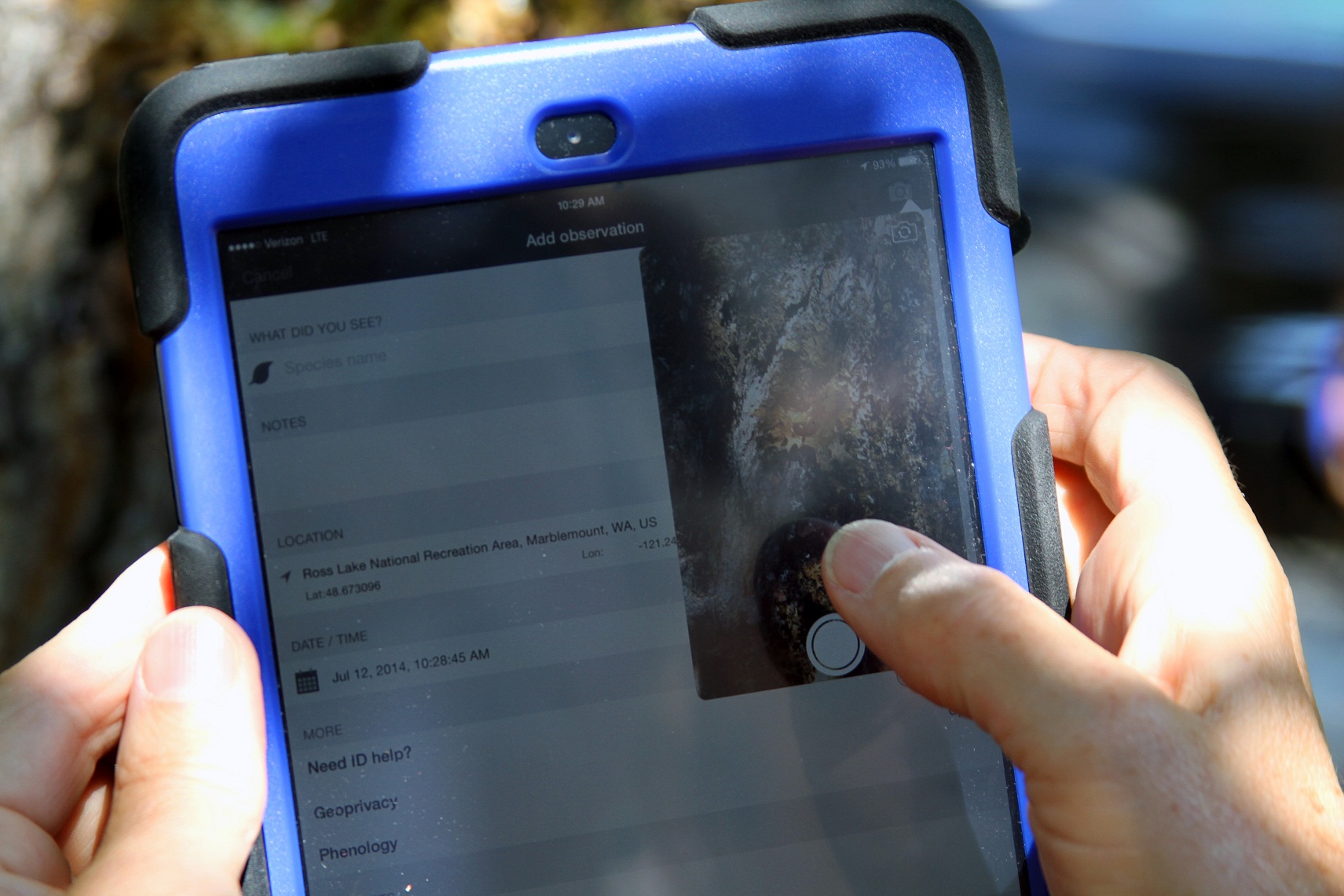 Visitor Adds iNaturalist Observations in Newhalem NPS Photo