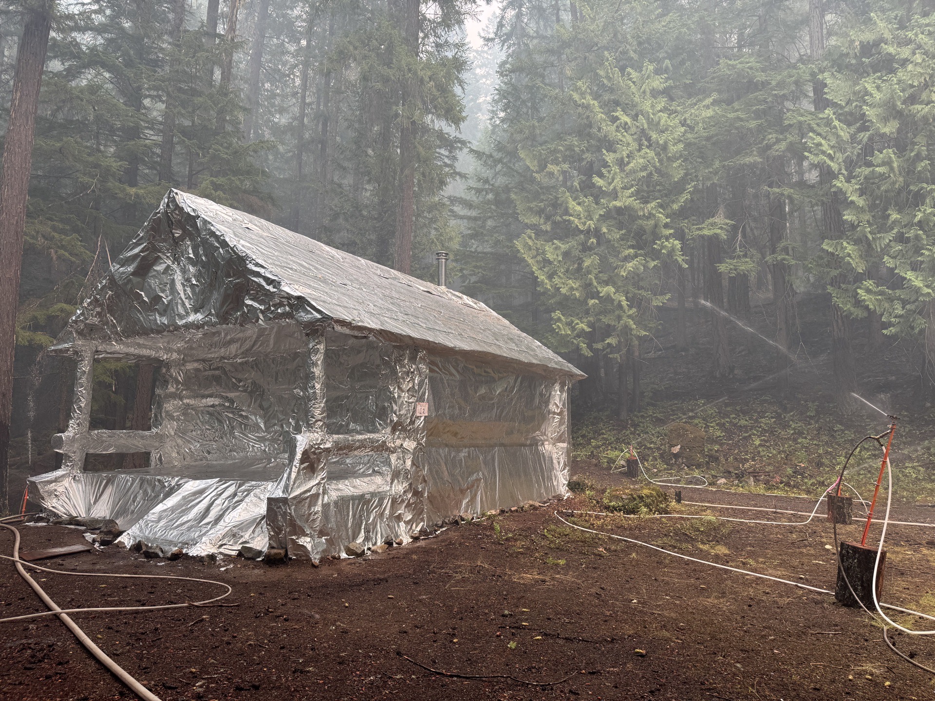 A small cabin in a dense hazy forest wrapped in reflective foil, with a sprinkler nearby