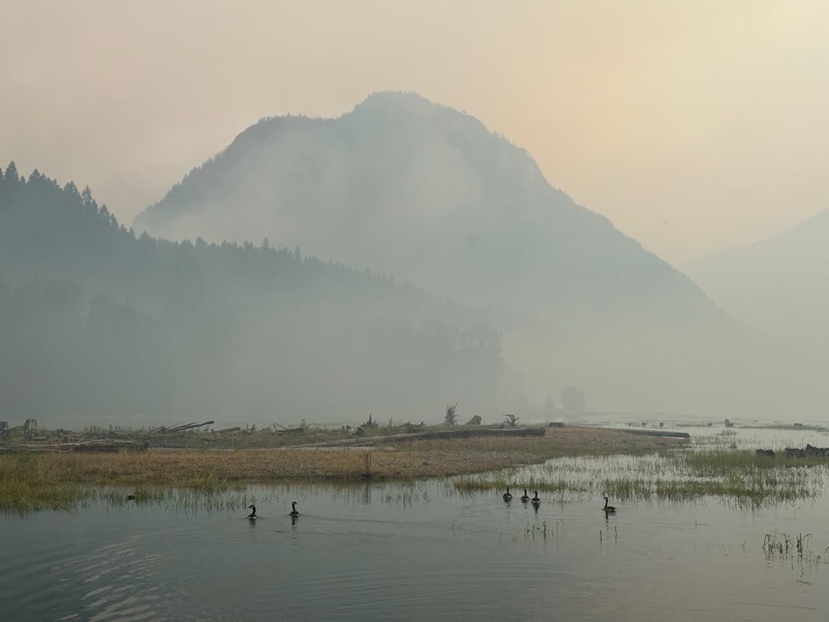 Calm lake with ducks swimming among smoky skies, hazy outline of mountains in the distance.