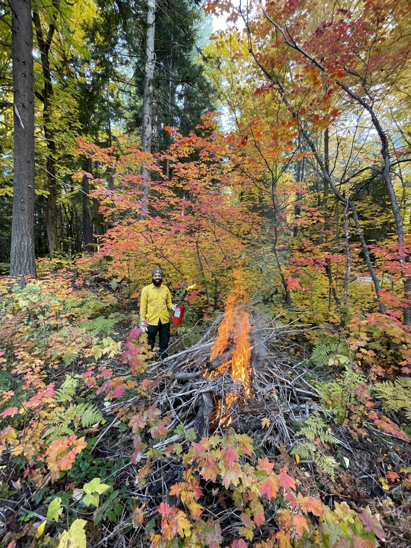 Firefighter near a prescribed burn in an autumnal forest.