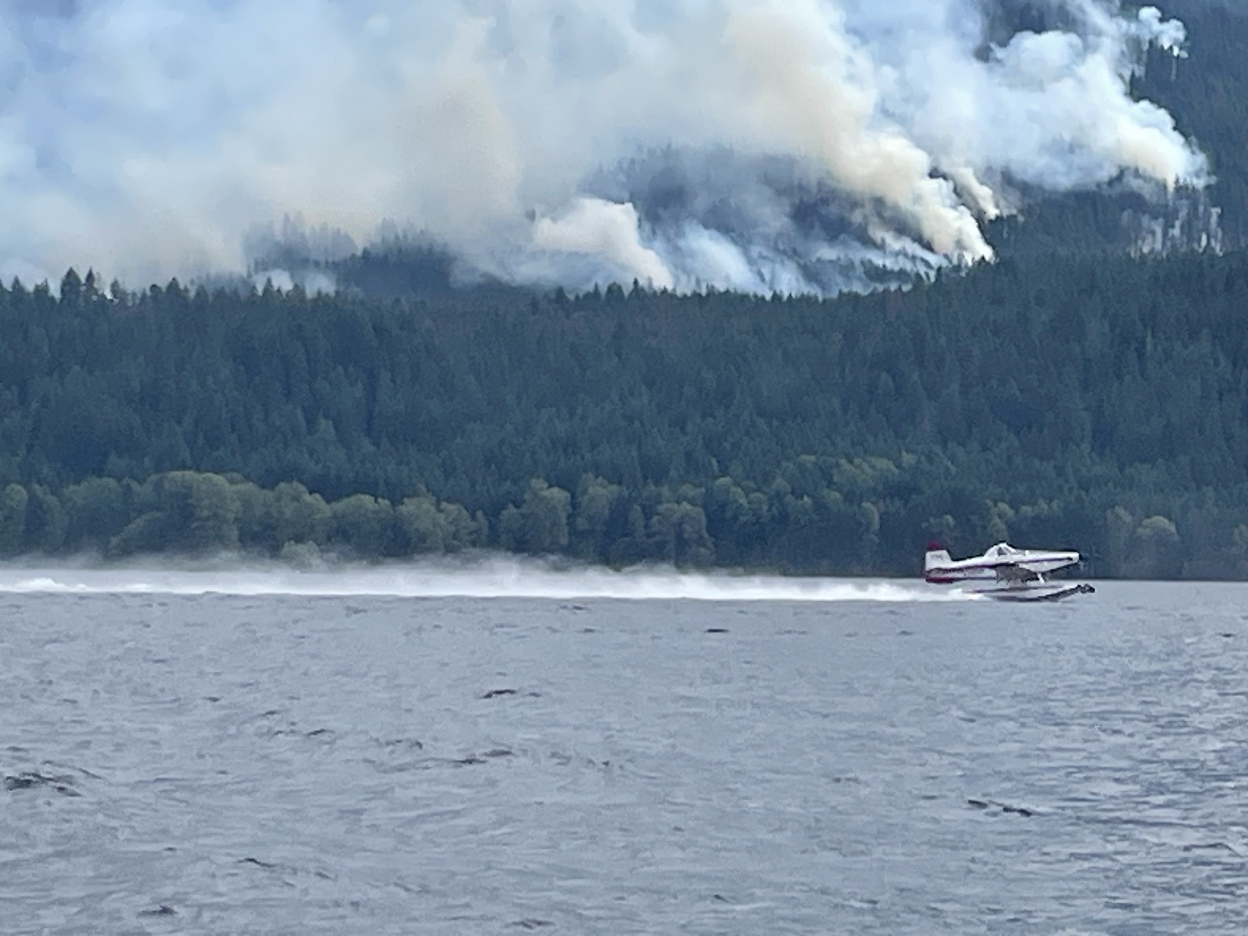 Plane scooping water from lake while smoke plumes from a dense green forest