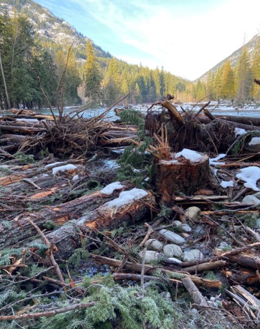A pile of logs and rocks in the foreground with water, a line of trees, and blue skies in the background.