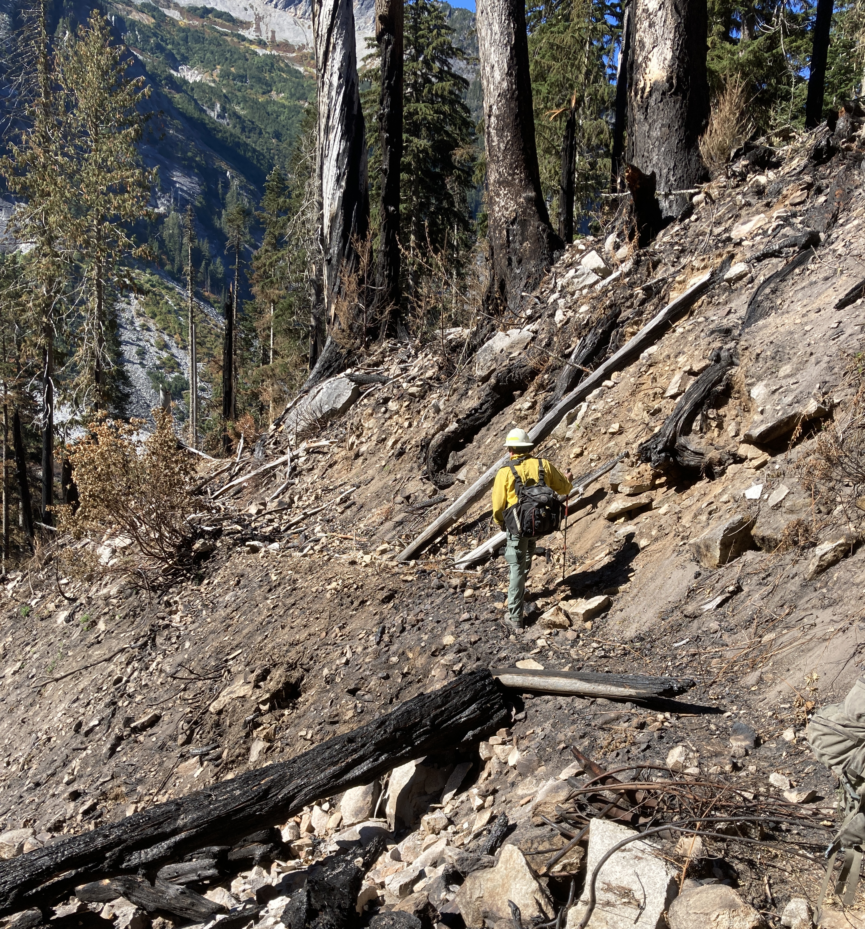 A person walking through a burned area.