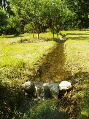 One of the hand-dug irrigation channels that still waters the orchard. NPS/Michael Liang