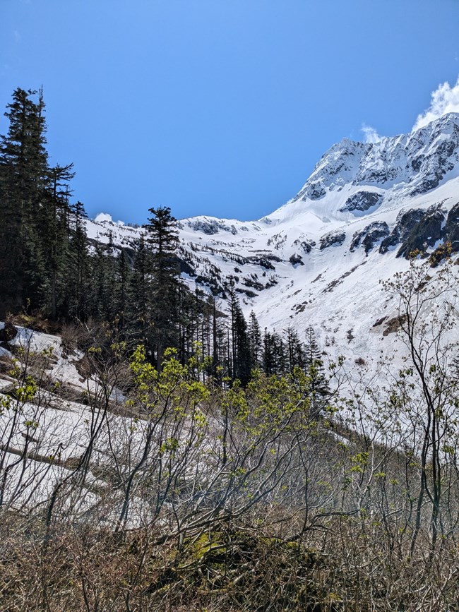 Snow covered mountains at Cascade Pass