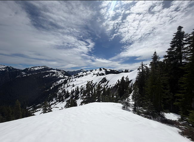 Copper Ridge early June 2026
