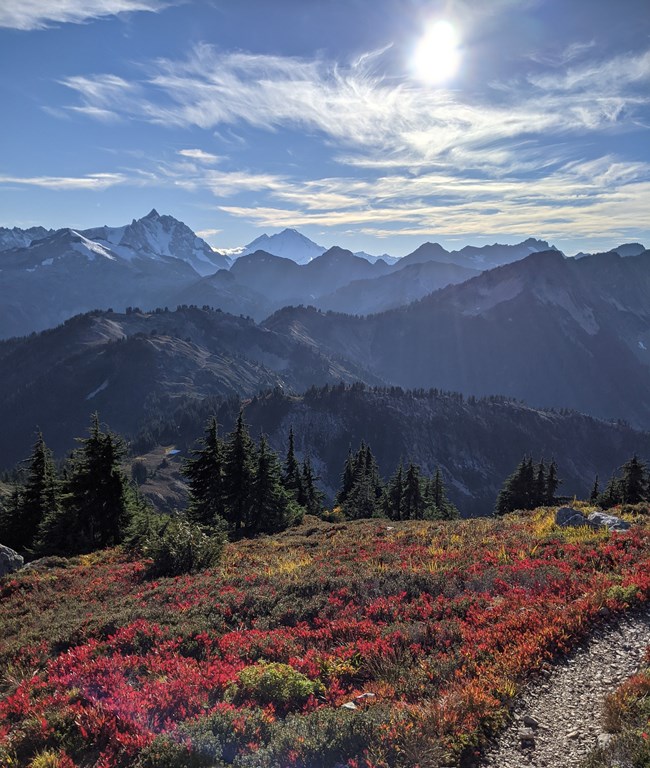 Copper Ridge in September