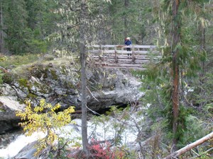 The Stehekin River at Flat Creek files through a narrow gorge. NPS/Rosemary Seifried