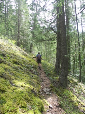 A hiker heads up the switchbacks on the Fourth of July Trail.  NPS/Rosemary Seifried